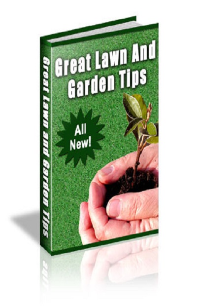 Great Lawn and Garden tips