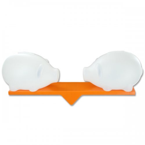 Teeter-totter Piggy Bank