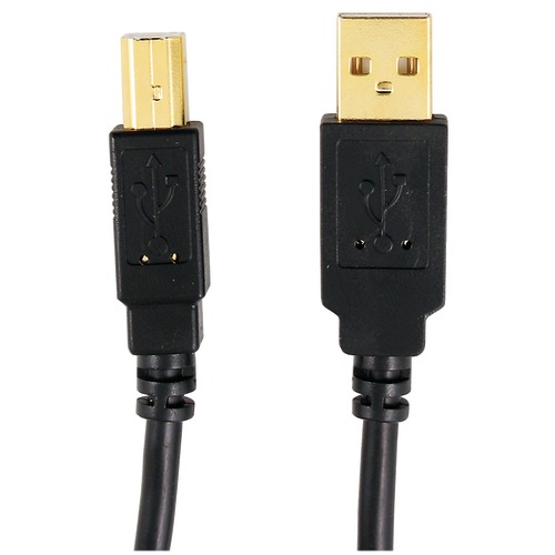 Axis A-male To B-male Usb 2.0 Cable (10ft)