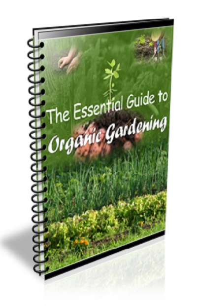 The Essential Guide to Organic Gardening