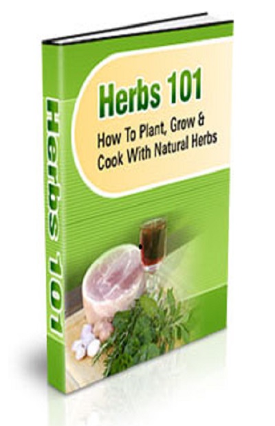 Herbs 101