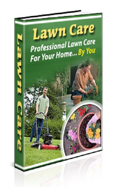 Lawn Care