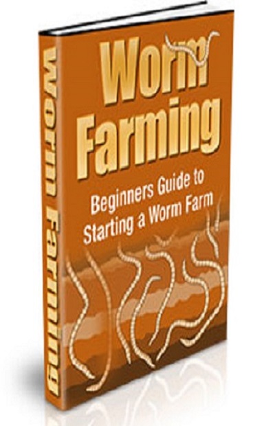 Beginners guide to starting a worm farm